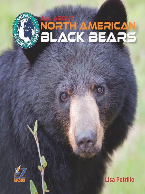 Title details for All About North American Black Bears by Lisa Petrillo - Available
